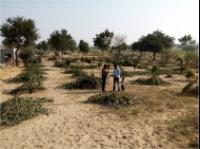  Desert Wadi