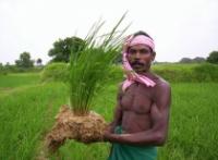 Shri Kedar Lal Sahariya ,Village:Dhikoni